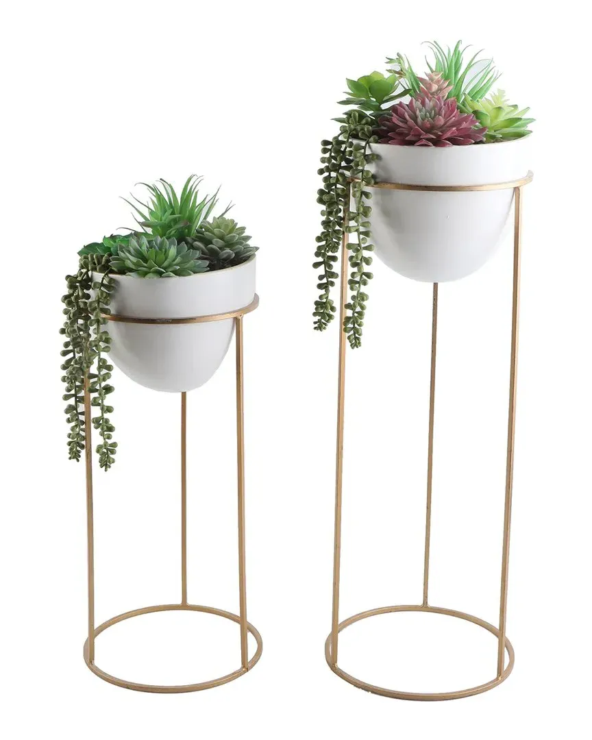 Succulent Mix in Ceramic Pots with Gold Metal Stands - White