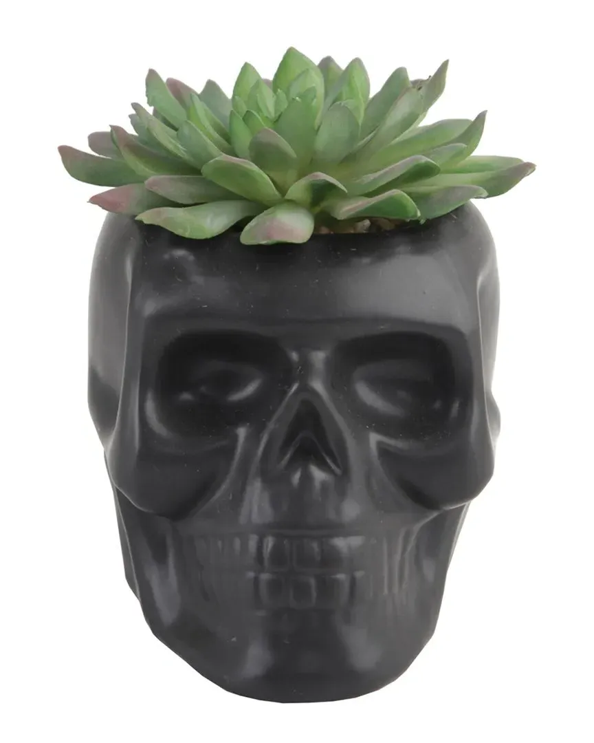 Sugar Skull Succulent Planter - Black, Ceramic image