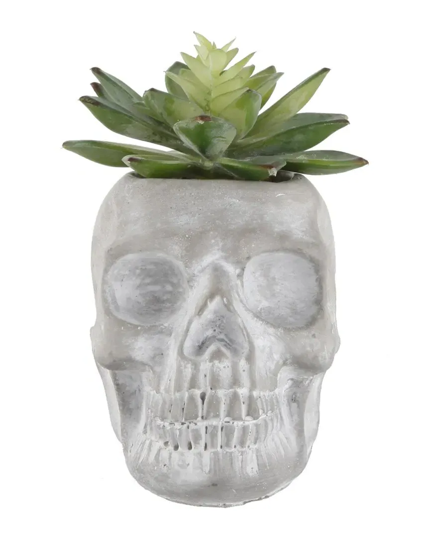 Sugar Skull Succulent Planter - Gray, Cement