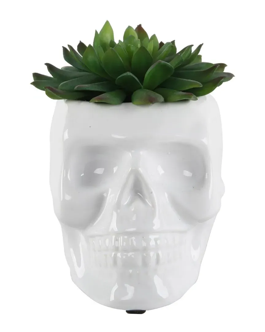 Sugar Skull Succulent Planter - White, Ceramic