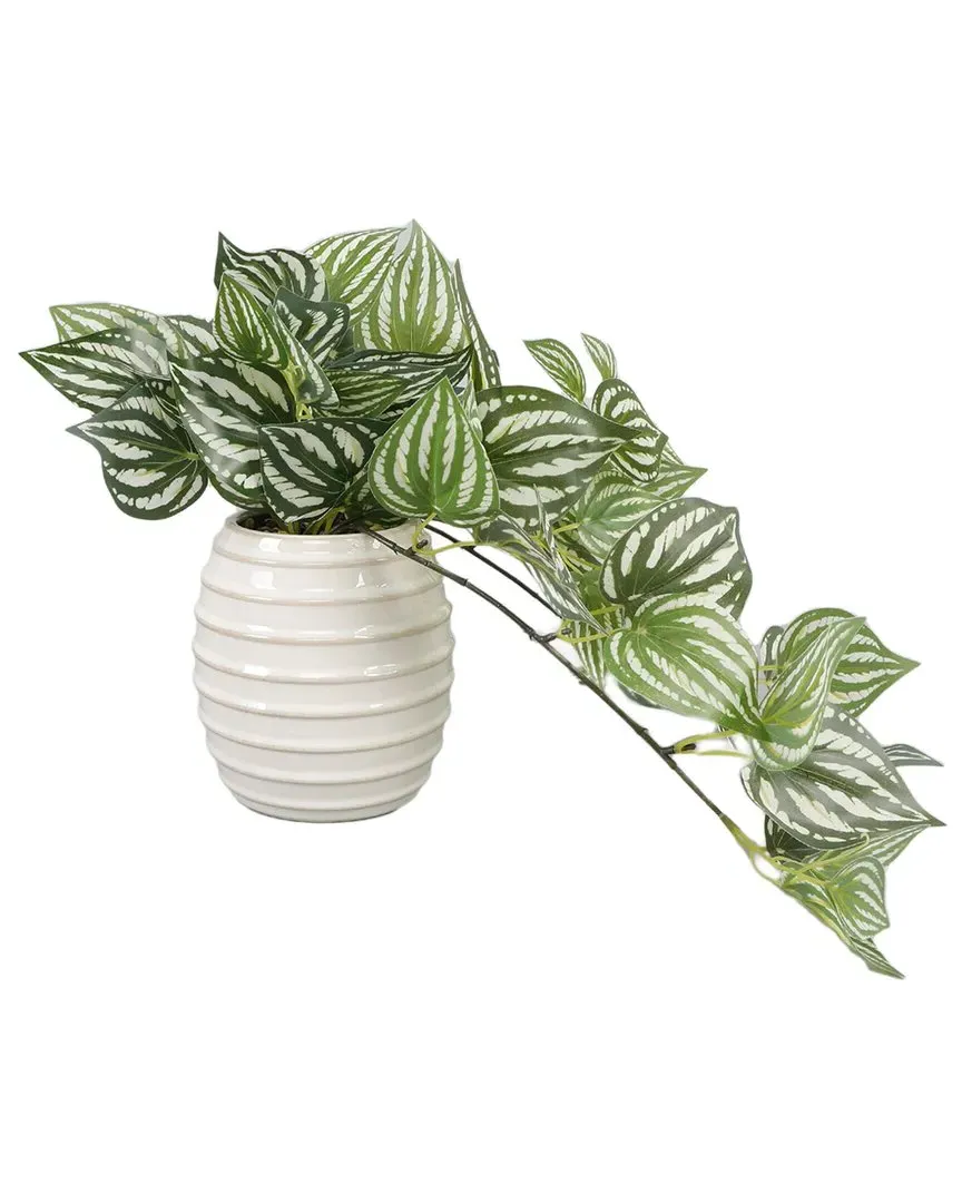 Trailing Ivy 4.75in Ceramic Planter - Ivory image