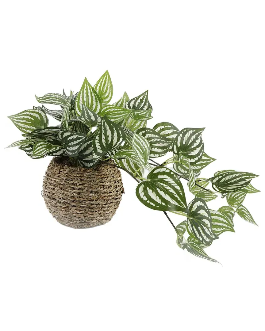 Trailing Ivy 6in Basket - Brown