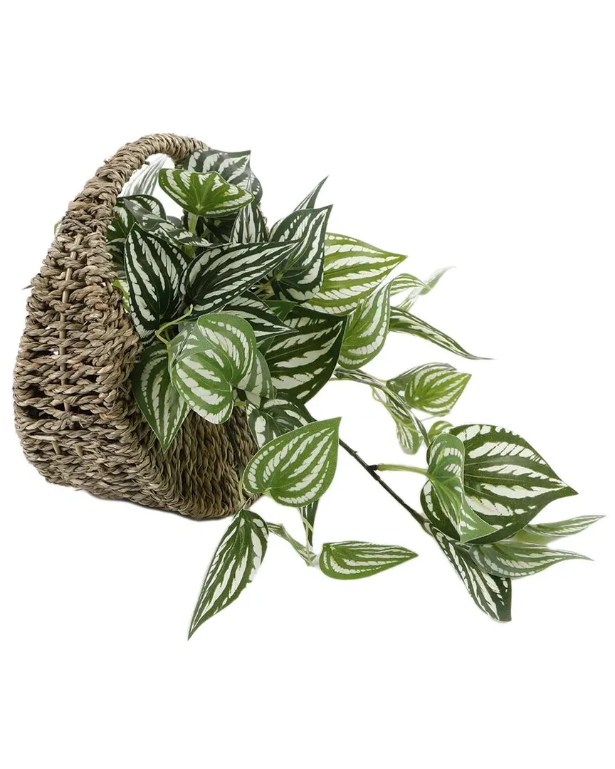 Trailing Ivy 8.5in Hanging Basket - Brown