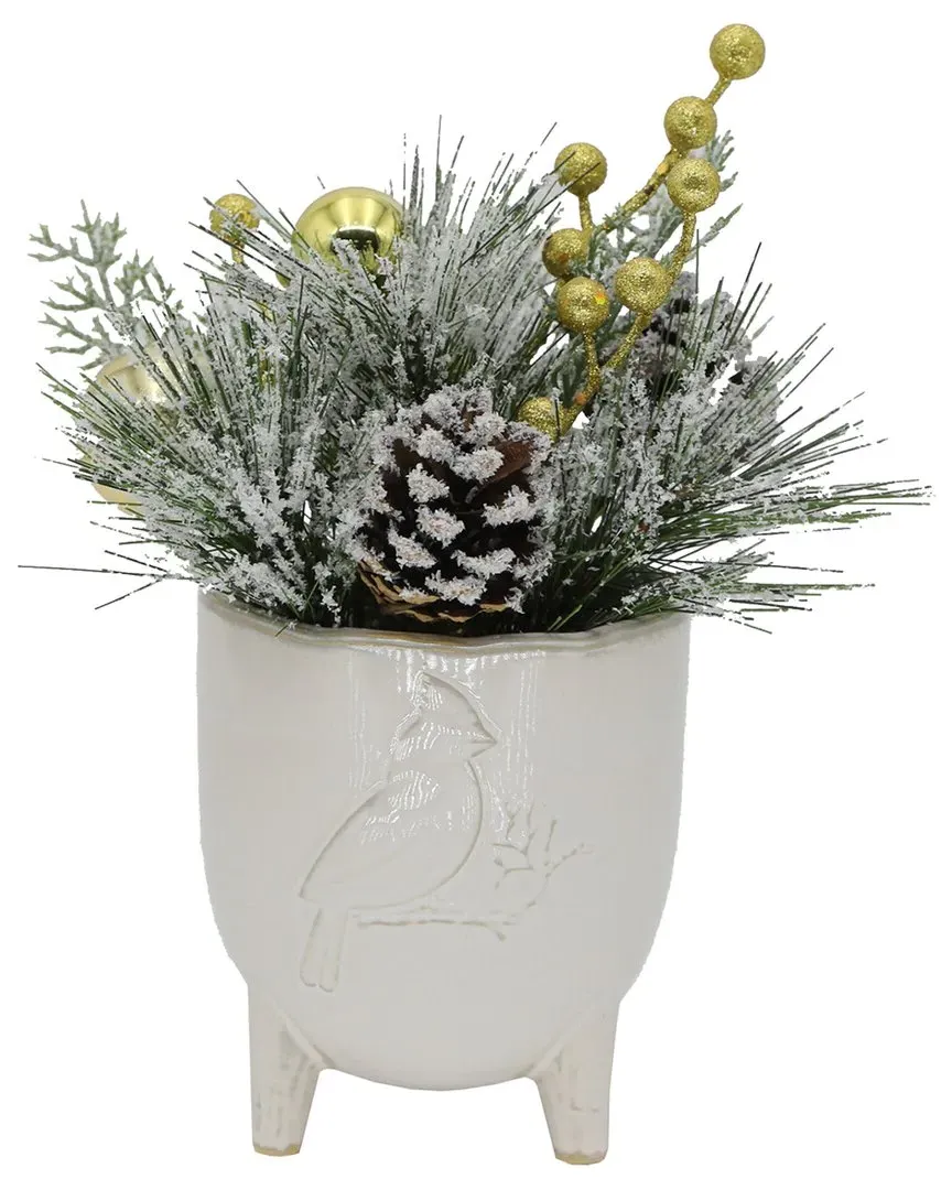 Xmas Mix Cardinal Ceramic Footed Pot - White