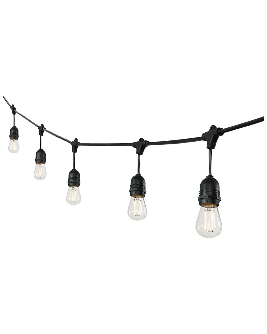 48ft Indoor/Outdoor Rustic LED String Lights - Black