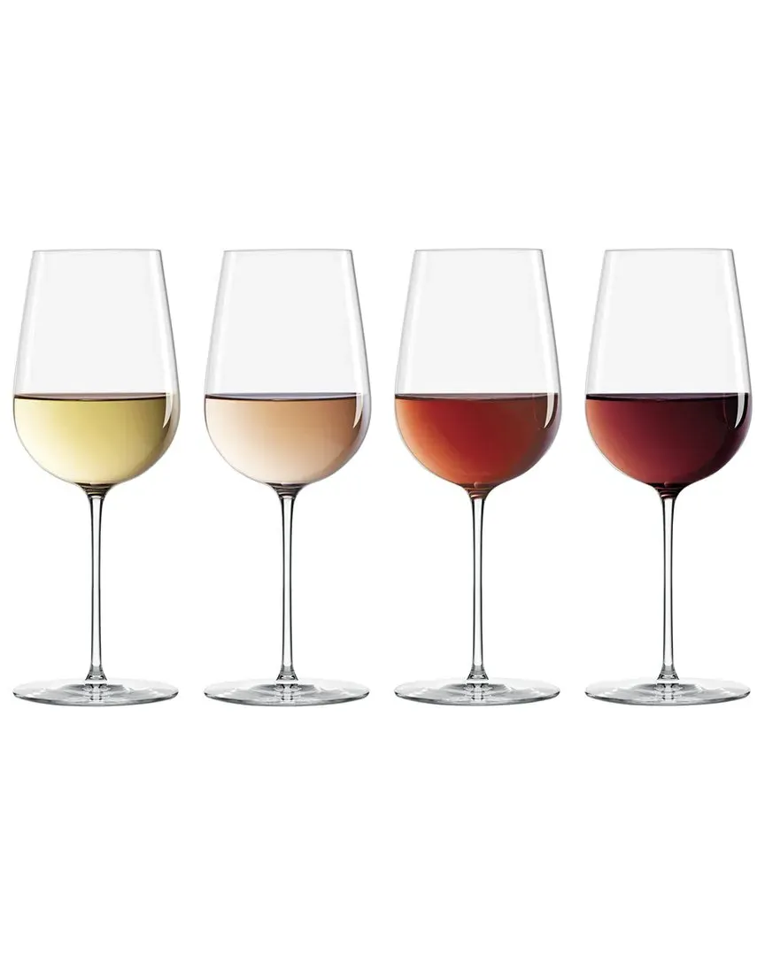 Signature Series Cool Region 4pc Wine Glass Set - Clear image