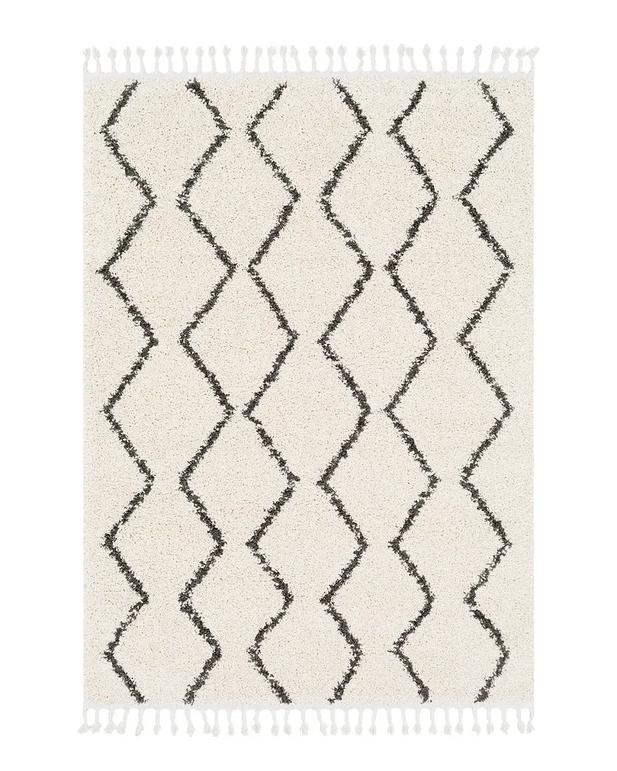 Surya Berber Shag Rug - Charcoal, Polypropylene