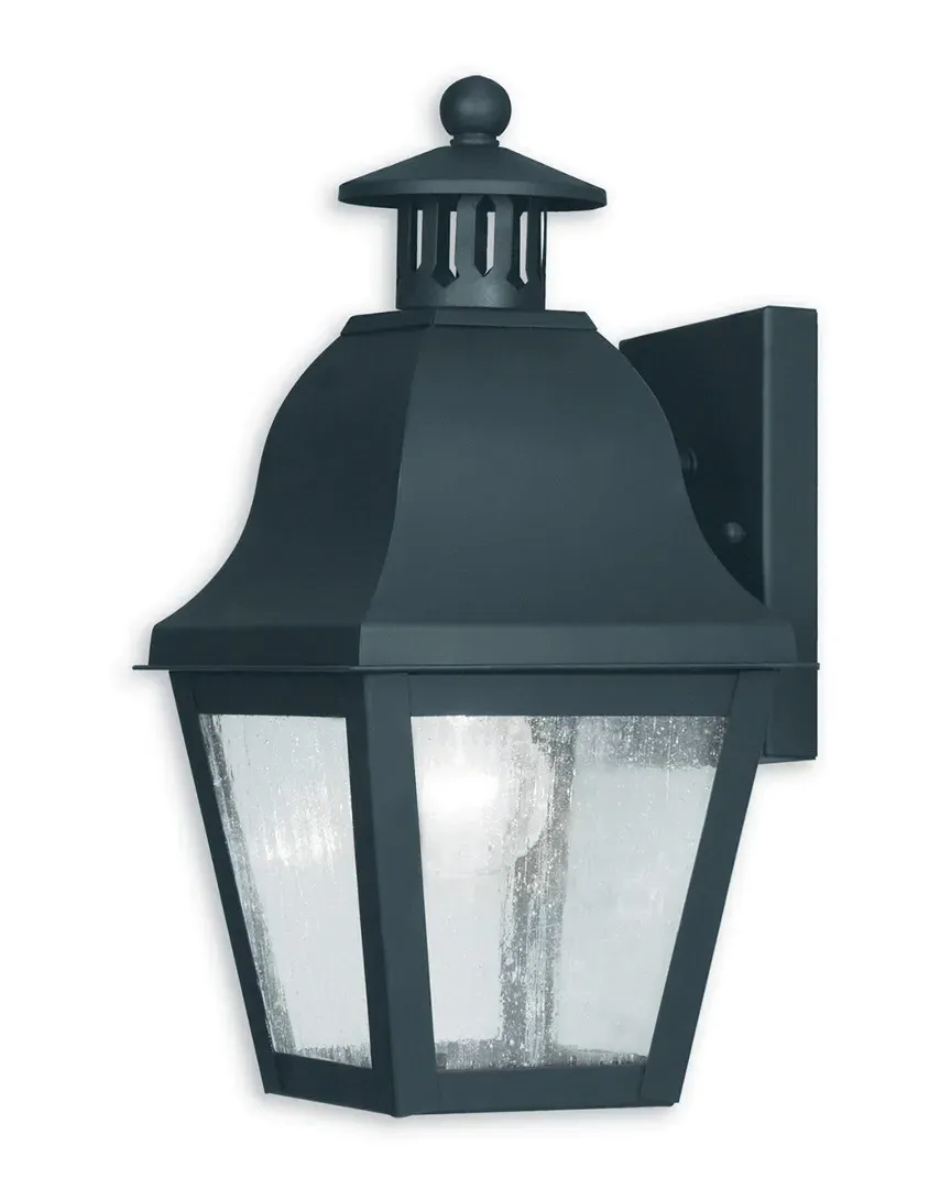 Amwell 1-Light Outdoor Wall Lantern - Black, Brass image