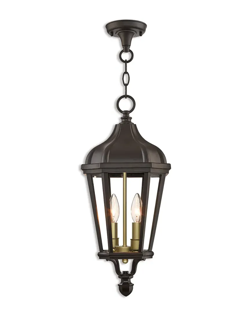 Morgan 2-Light Outdoor Pendant Lantern - Bronze image