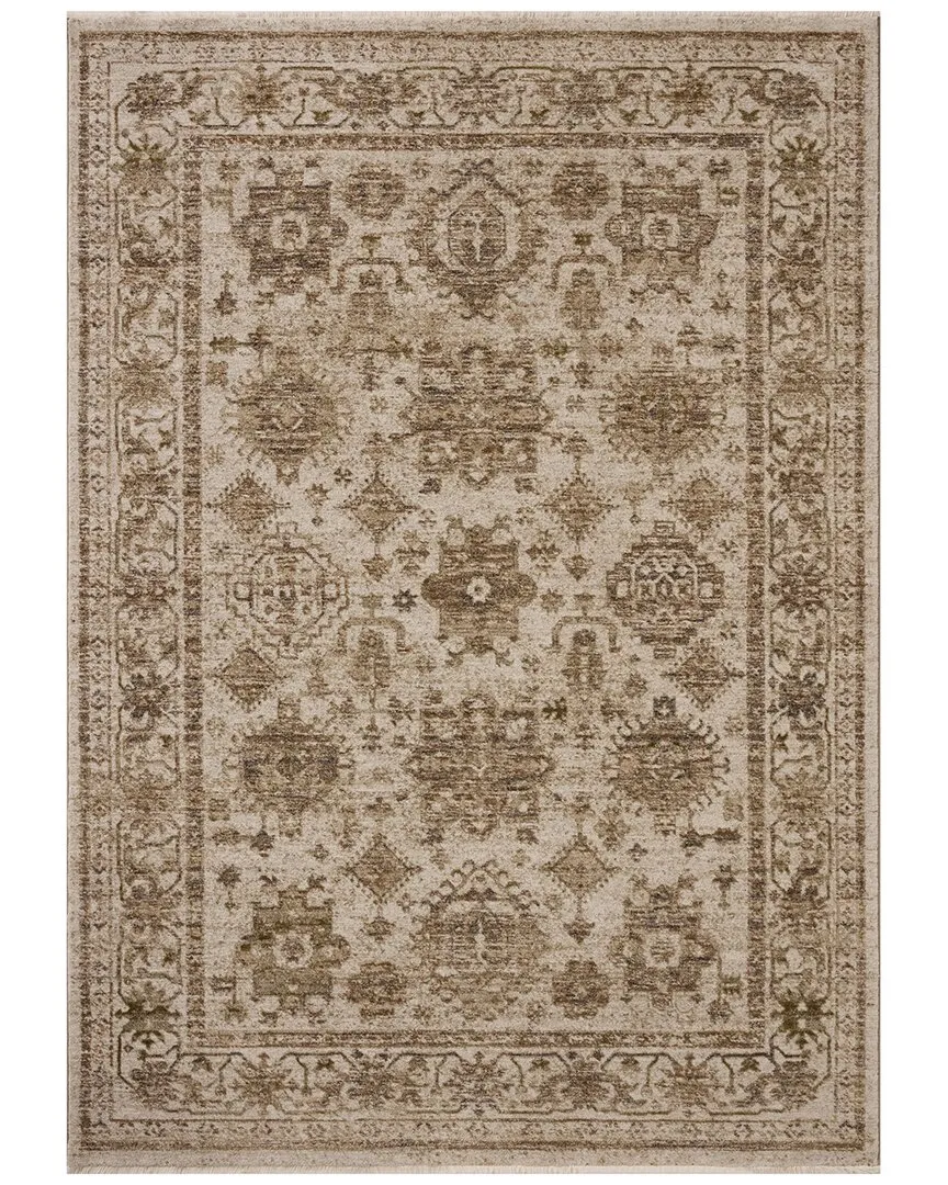 Haywood Area Rug - Ivory