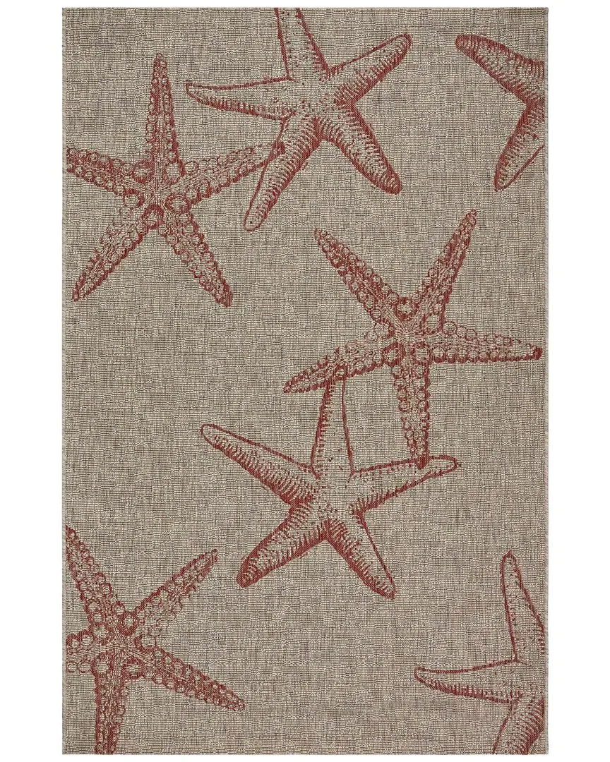 Coastal Graphic Print Indoor/Outdoor Performance Area Rug - Polypropylene