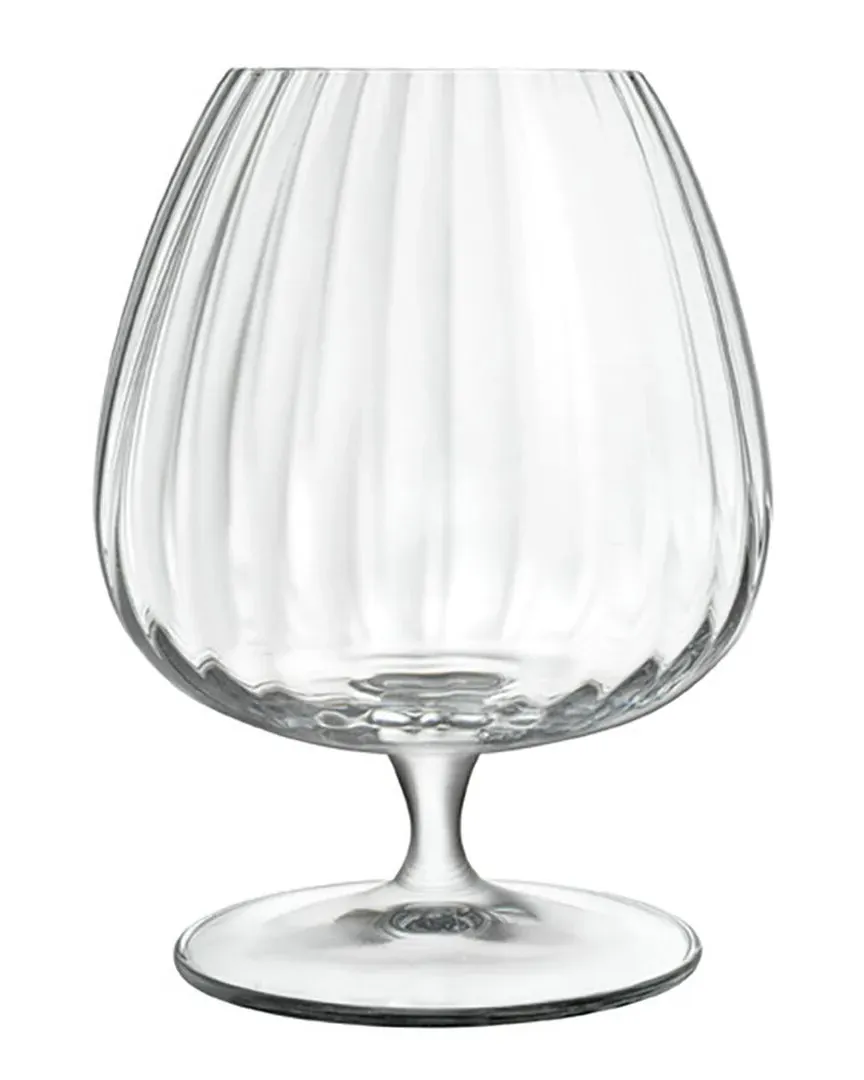 Optica Cognac Glasses Set of 4 - Clear, Crystal Glass