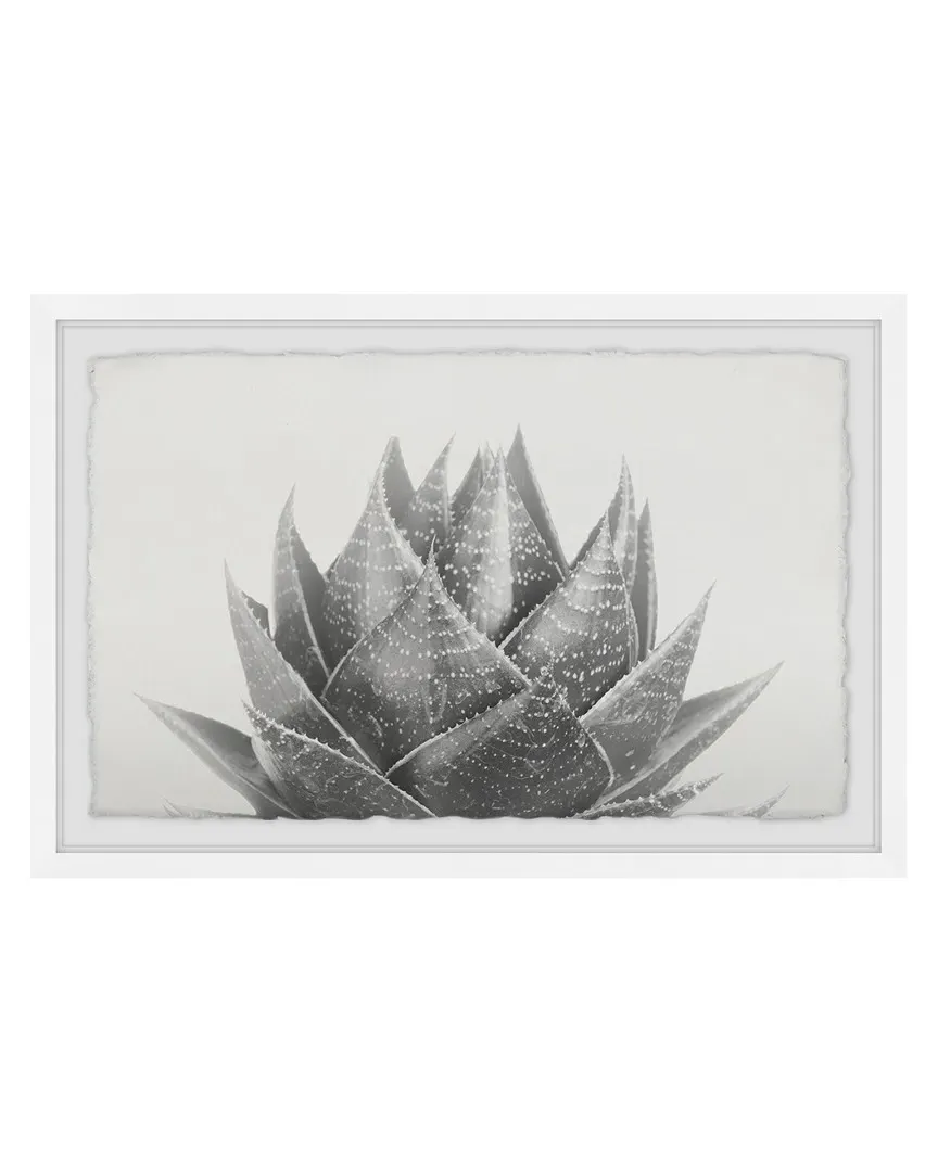 Agave II Framed Art Print