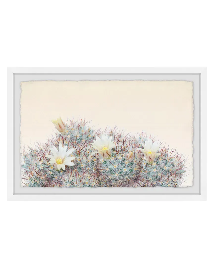 Flowering Succulent Framed Art Print image