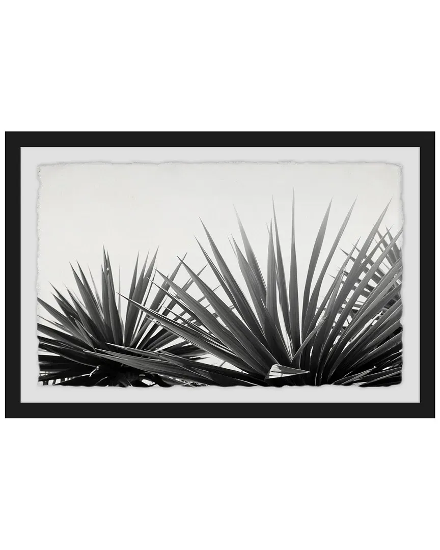 Pointed Leaves Framed Art Print image