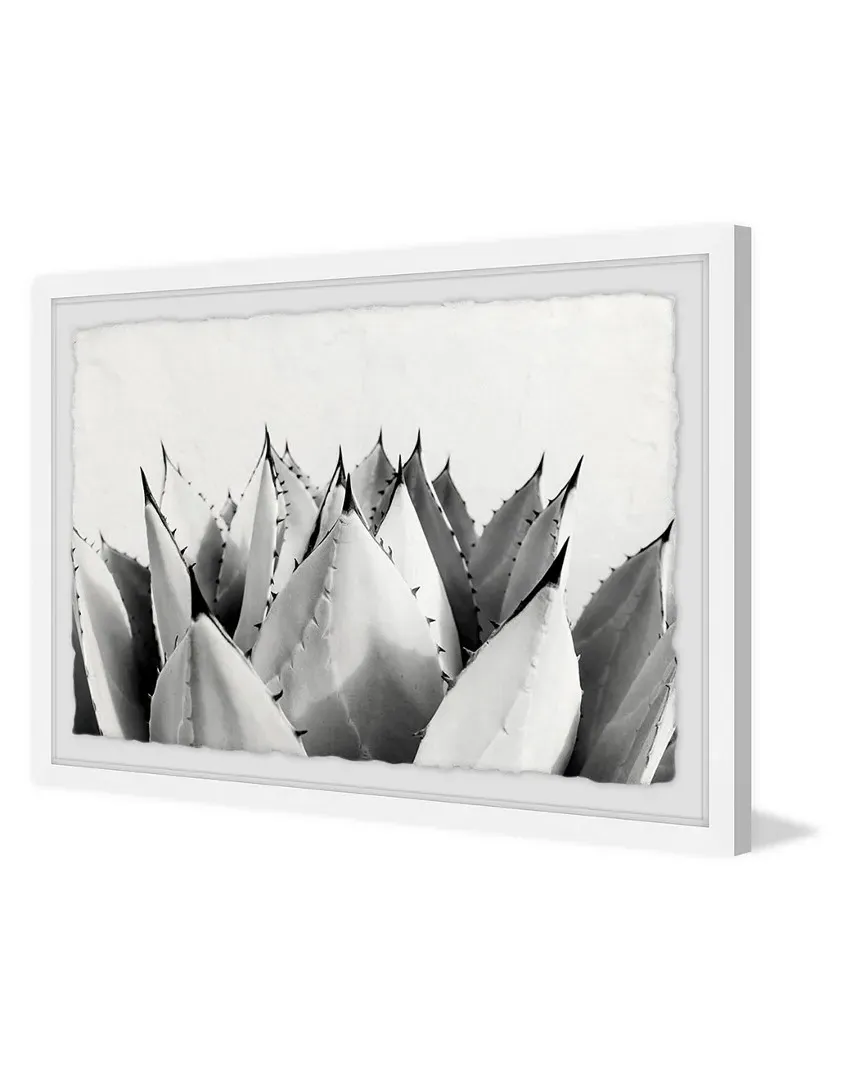 Sweet Succulents II Framed Painting Print by Morgan Hartley
