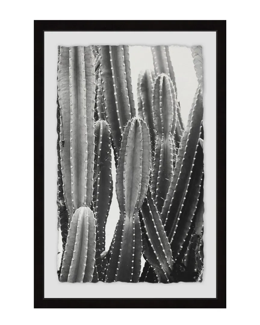 Vintage Cactus Framed Art Print image