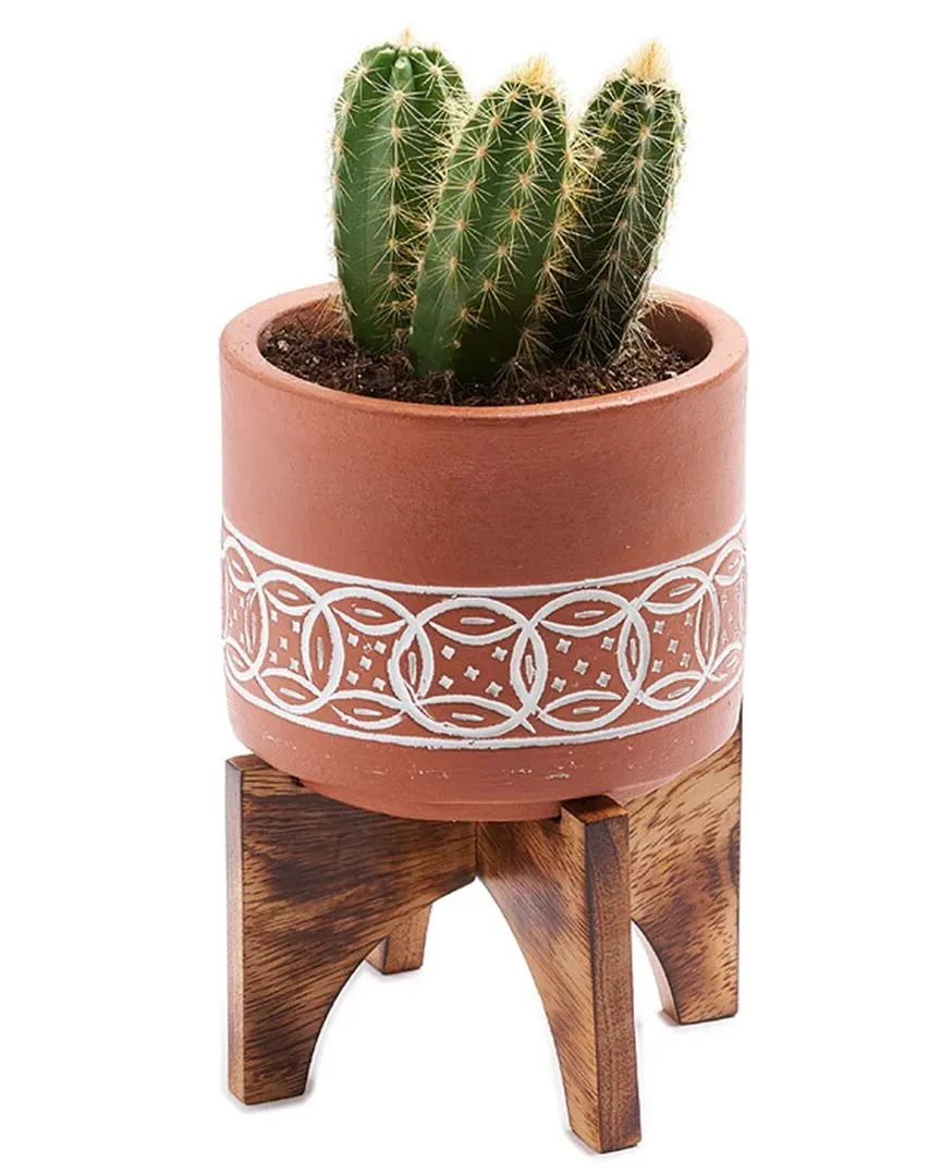 Daksha Large Plant Pot with Wood Stand - Terracotta image
