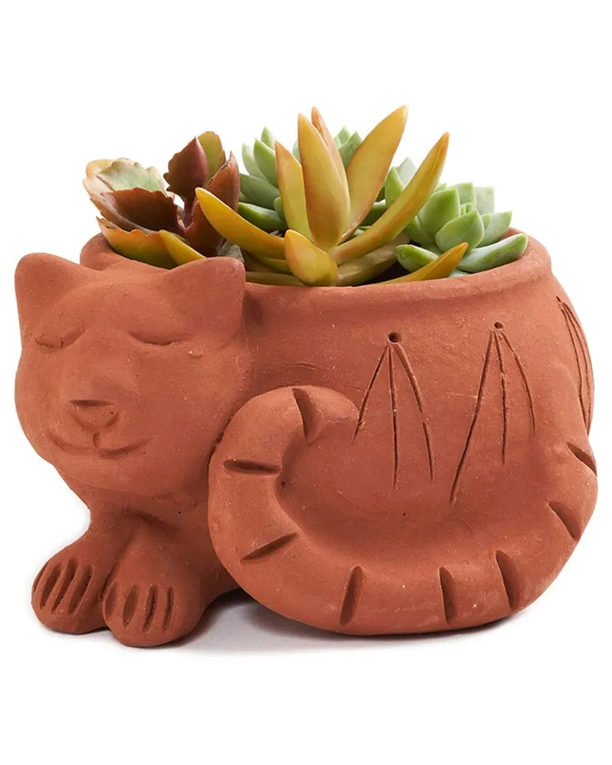 Rakshana Cat Plant Pot - Terracotta, Clay image