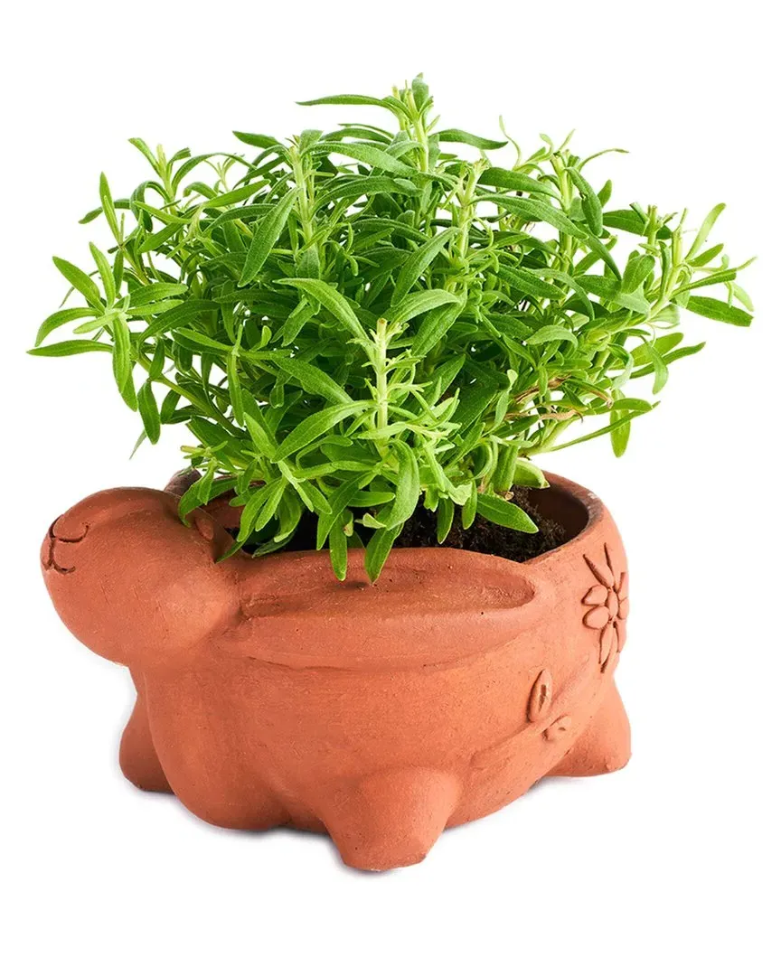 Rakshana Rabbit Plant Pot - Terracotta, Clay