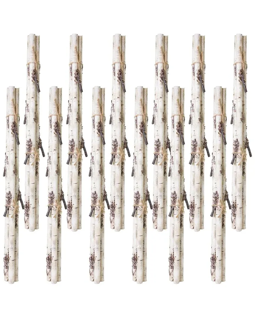 Rustic Birch Log Bundle with Snowy Accents - White image