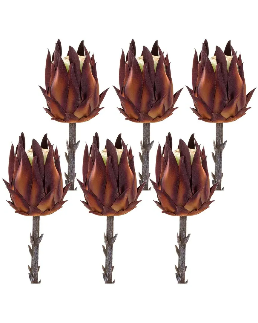 Set of 6 Burgundy Protea Stems - Orange image