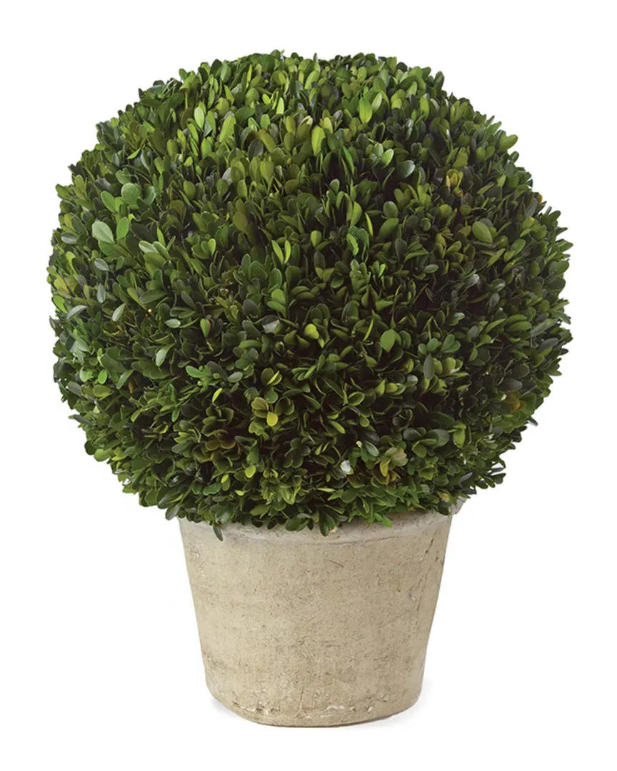 12in Boxwood Ball Topiary in Pot - Green