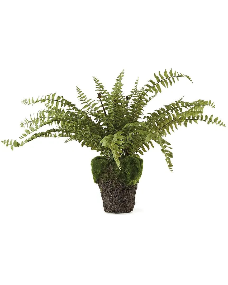 16in Boston Fern Drop-In - Green