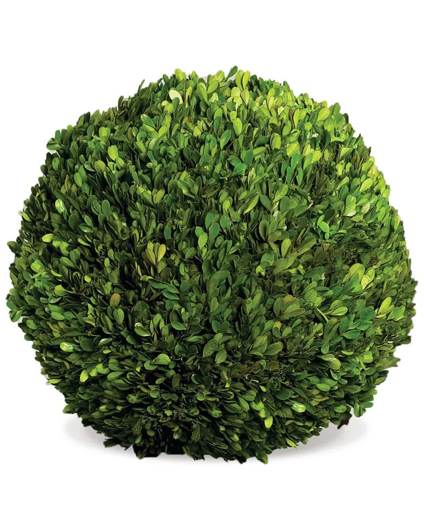 16in Decorative Ball - Green, Boxwood image