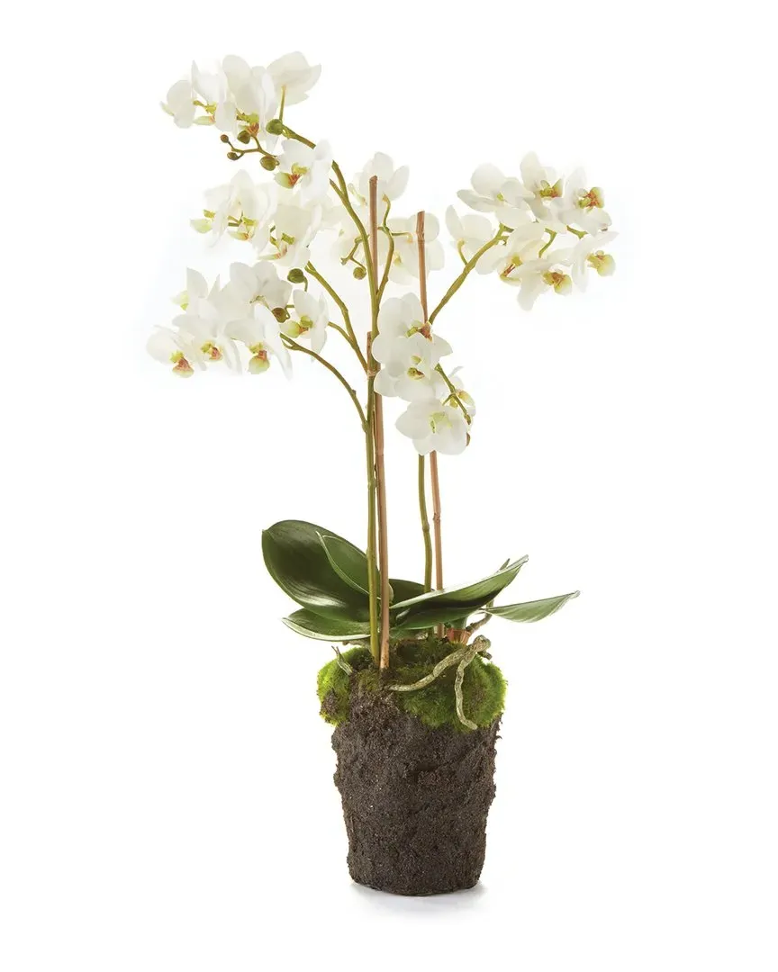 20in Phalaenopsis Orchid Drop-In - White