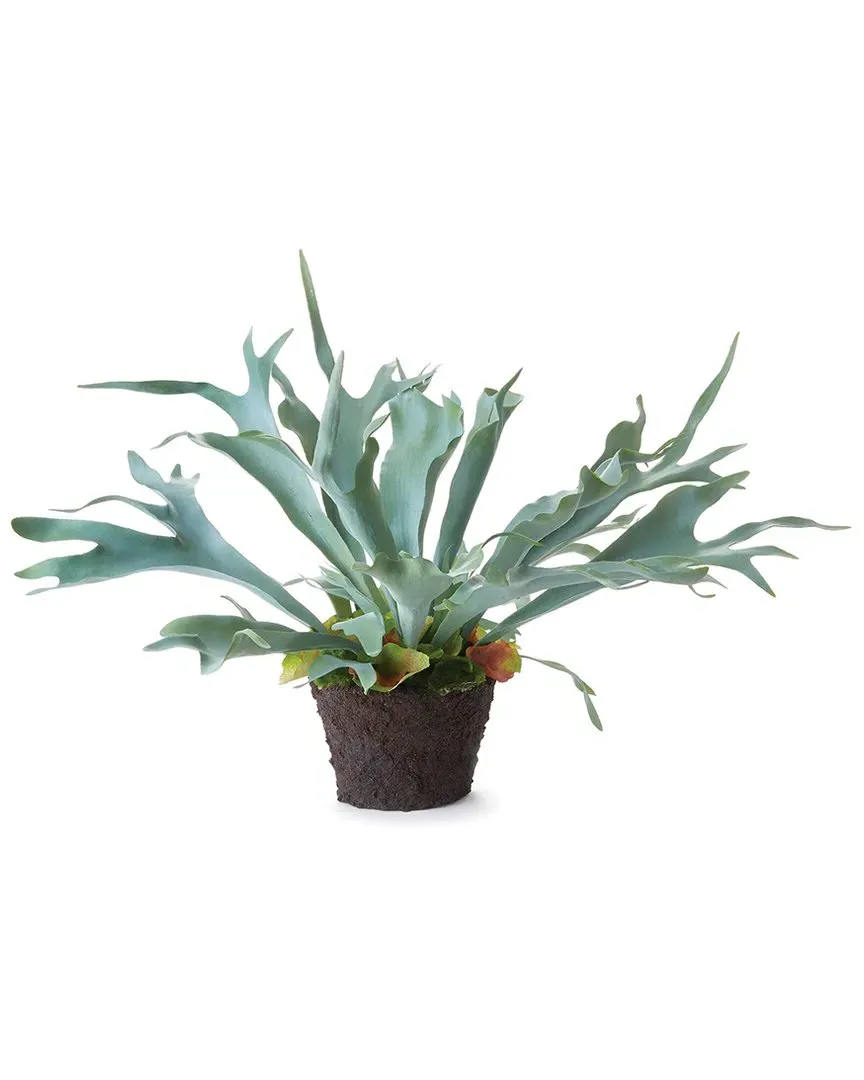 21in Staghorn Fern Drop-In - Sage Green