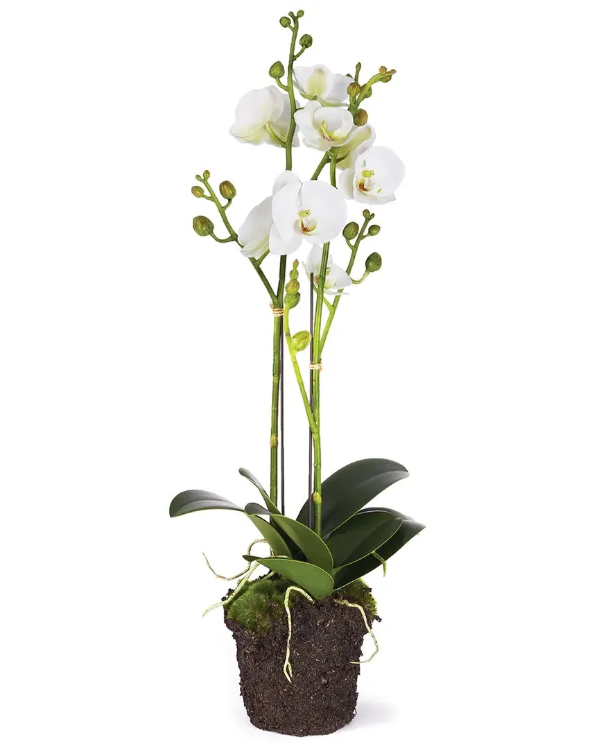 23in Phalaenopsis Drop-In Set - White image