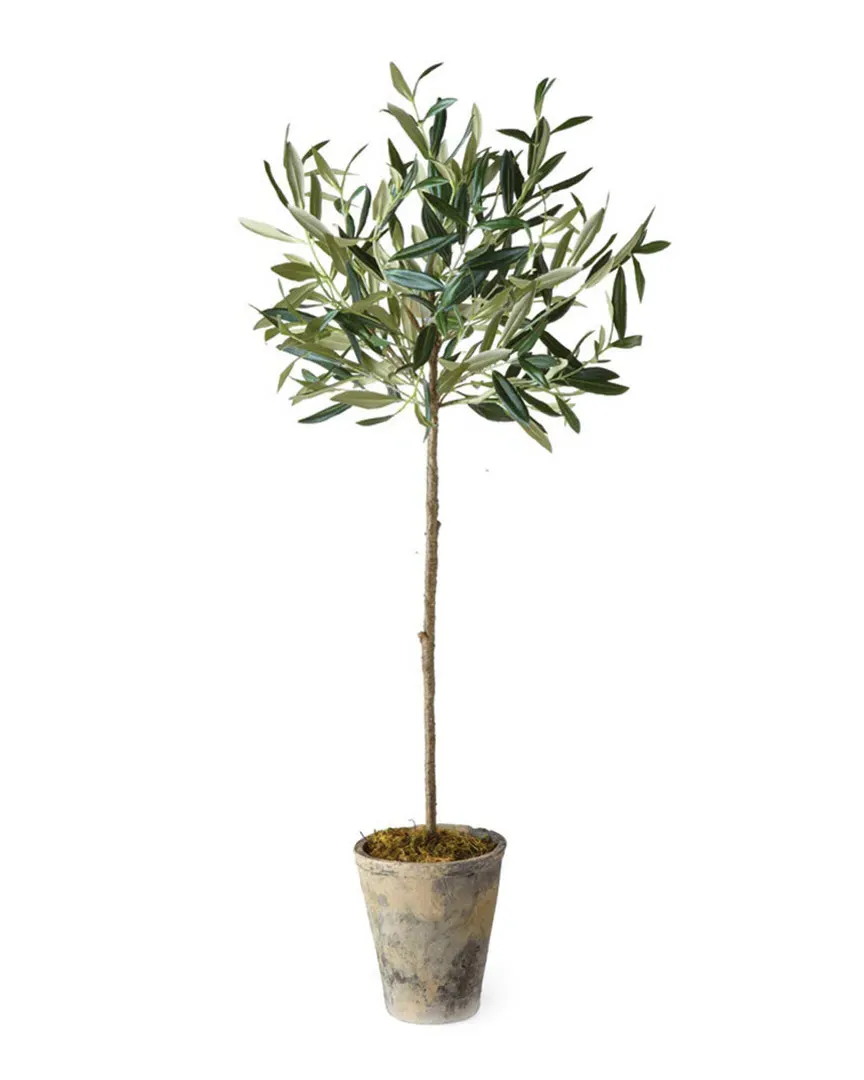 30in Olive Tree Potted - Green image
