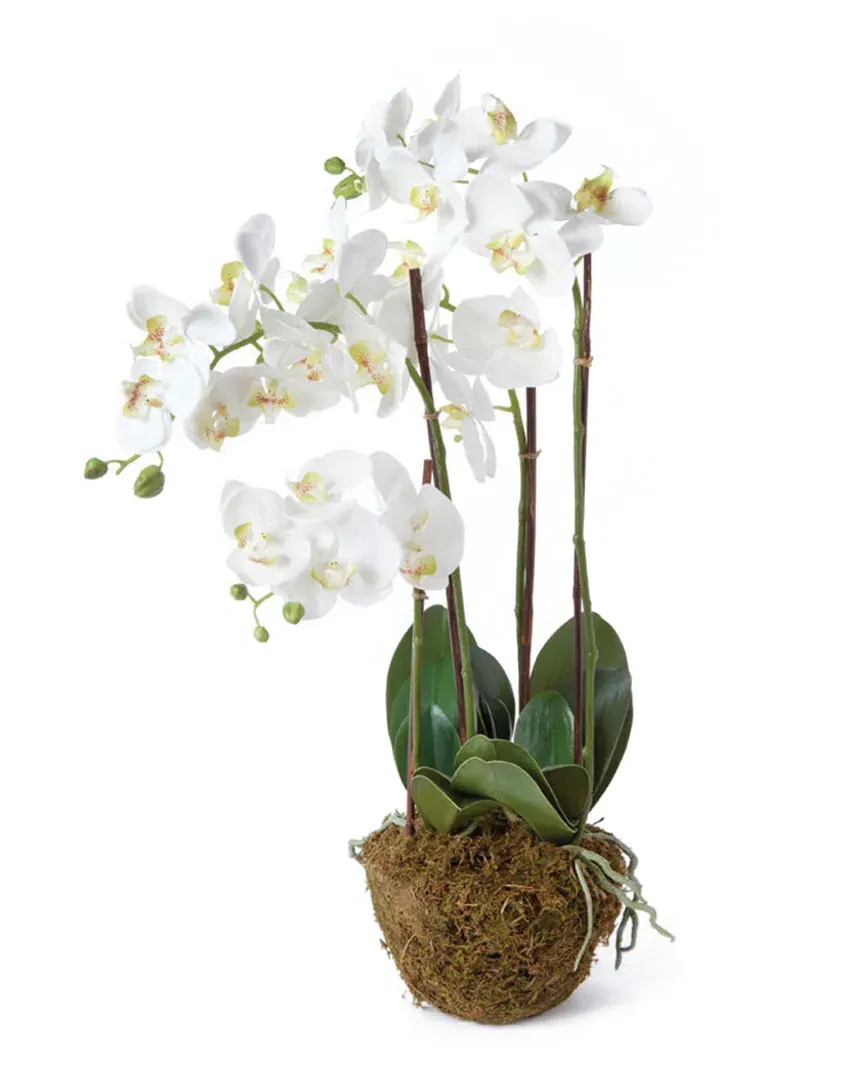 30in Phalaenopsis Drop-in - White