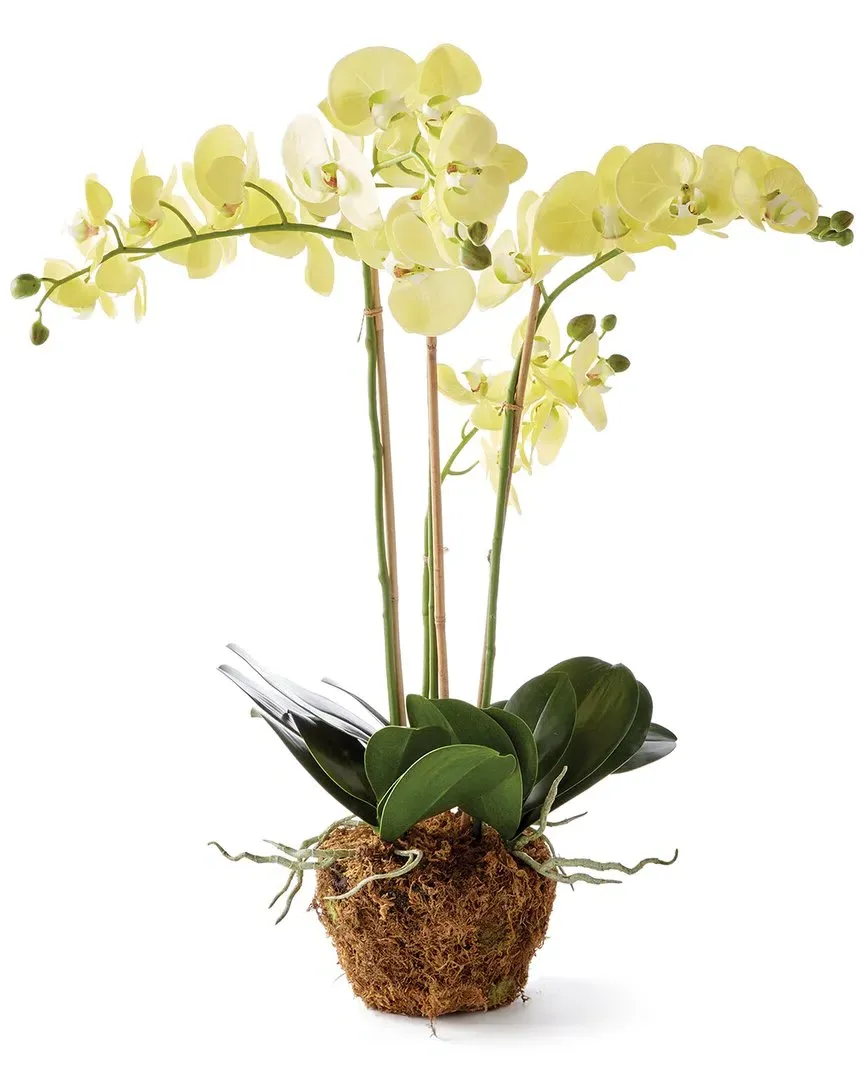 30in Phalaenopsis Orchid Drop-In - Yellow