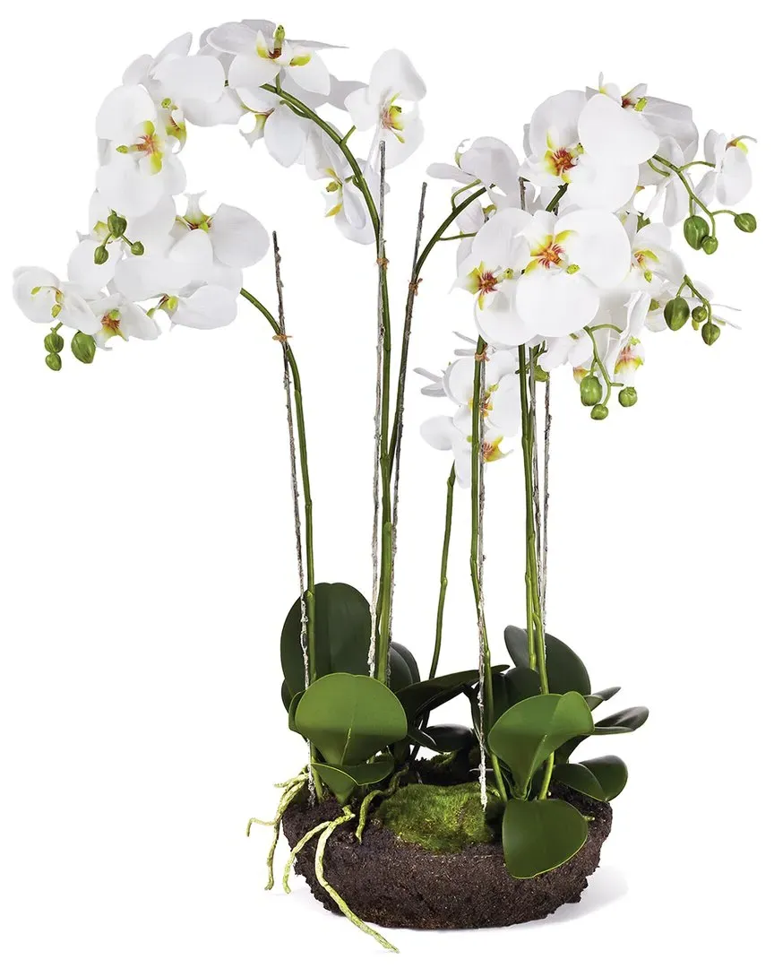 31.5in Phalaenopsis Bowl Drop-In - White image