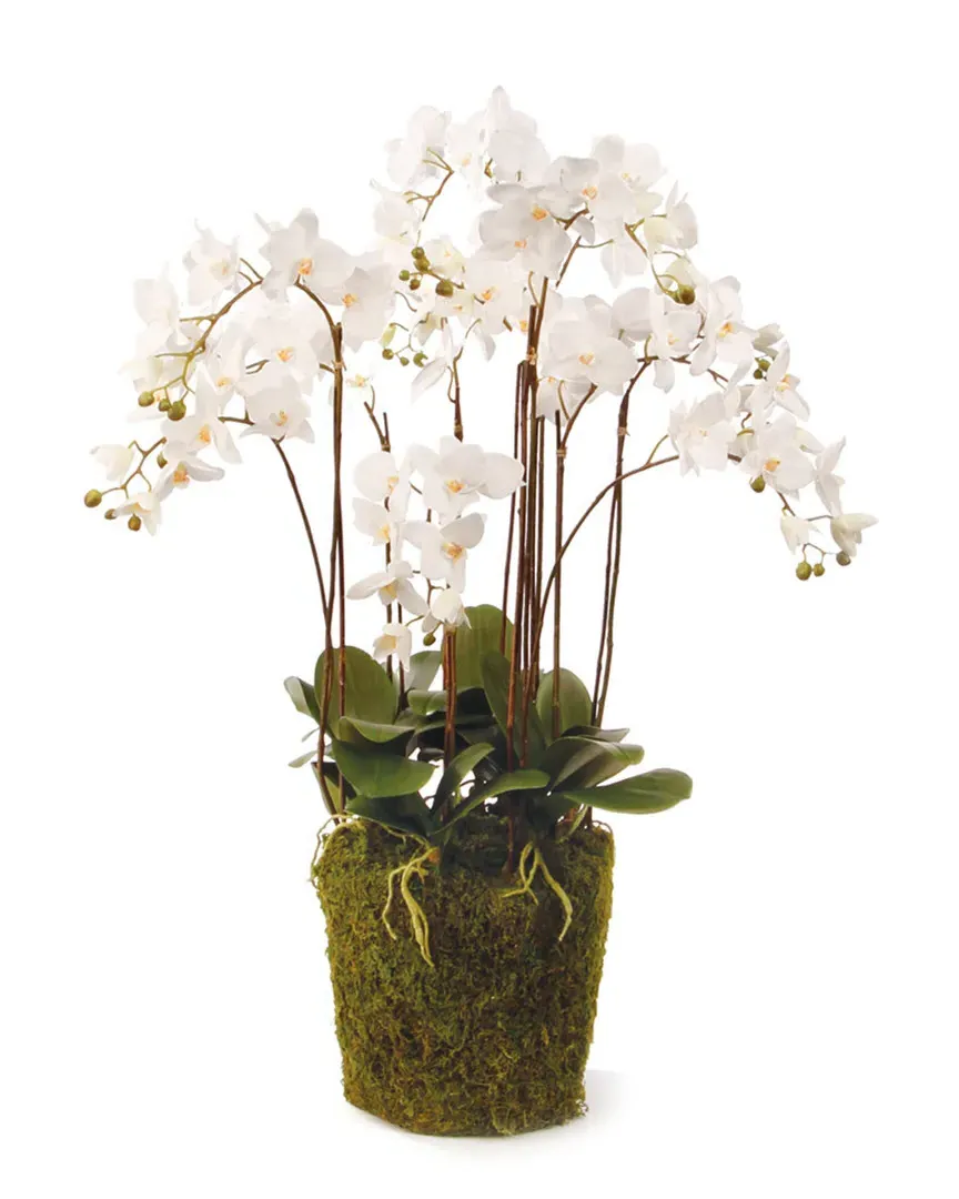 36in Phalaenopsis Drop-in - White
