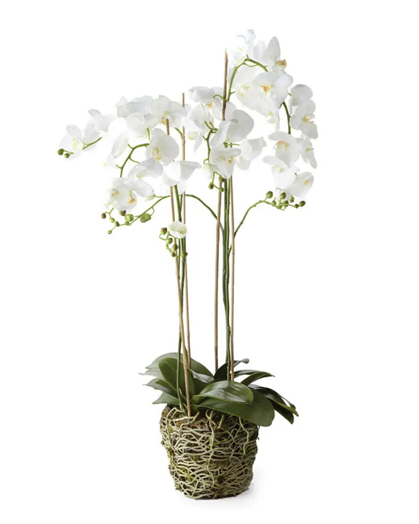 44in Phalaenopsis Drop-in - White