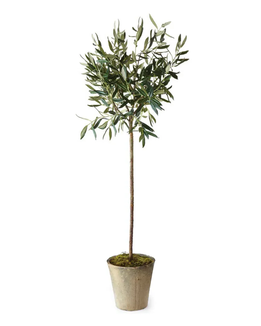 46in Potted Olive Tree - Green
