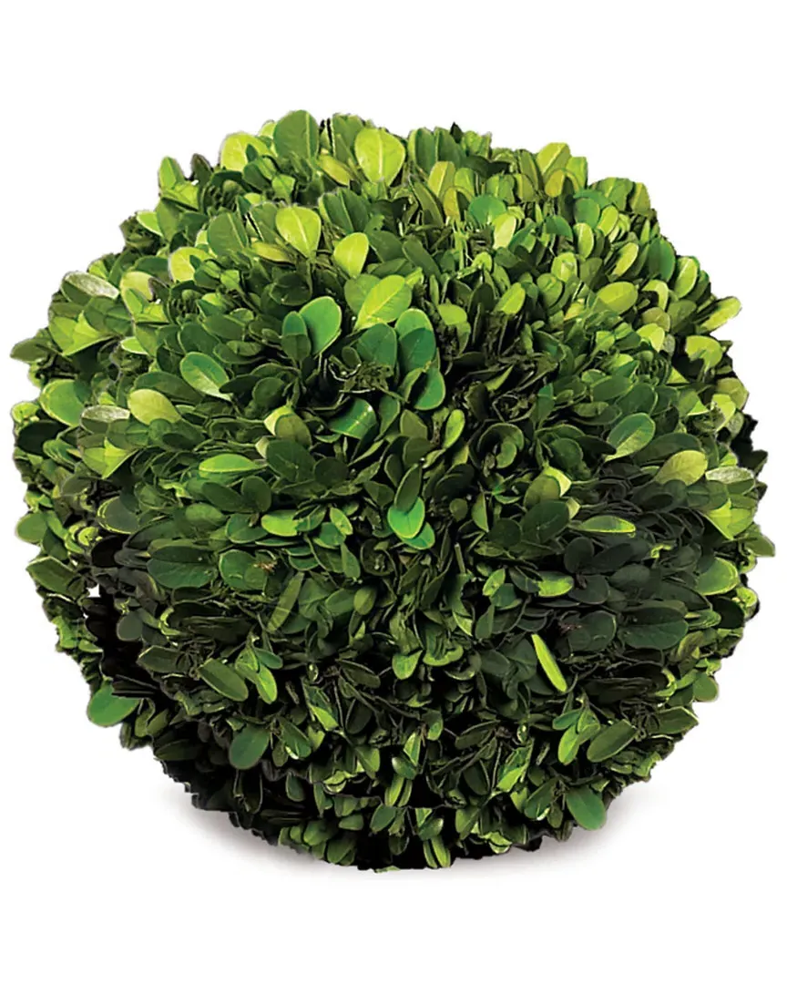 8in Preserved Boxwood Sphere - Green image