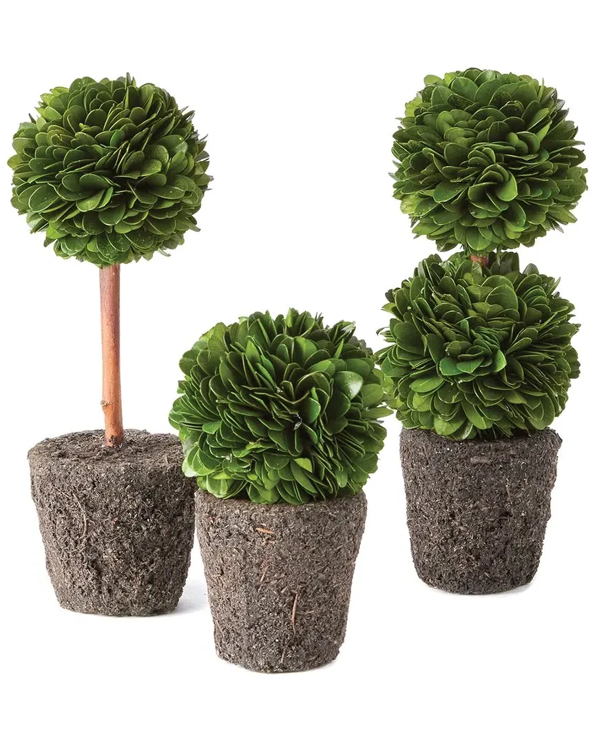 Boxwood Mini Topiary Drop-Ins - Green