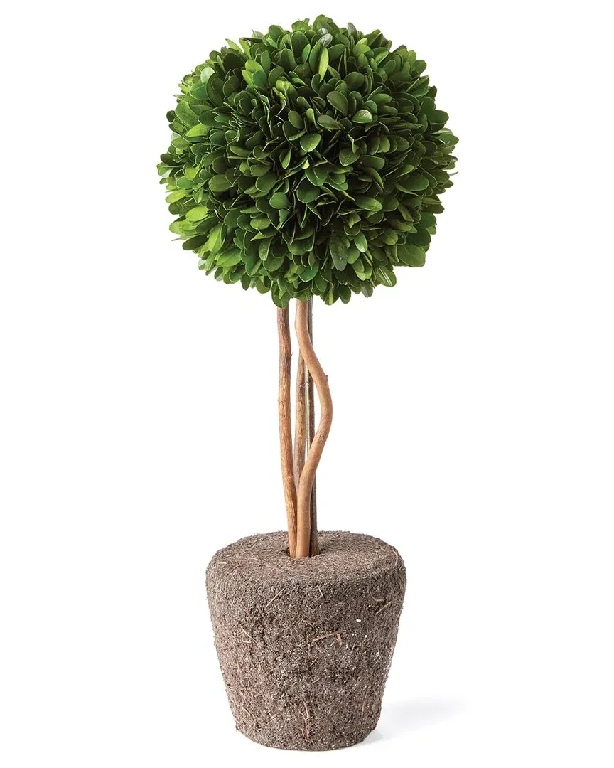 Boxwood Single Sphere Topiary Drop-In 16" - Green image