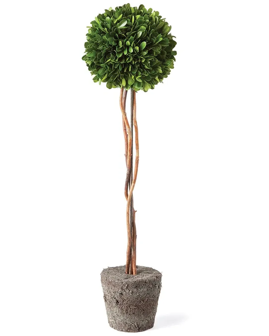 Boxwood Single Sphere Topiary Drop-In 24" - Green