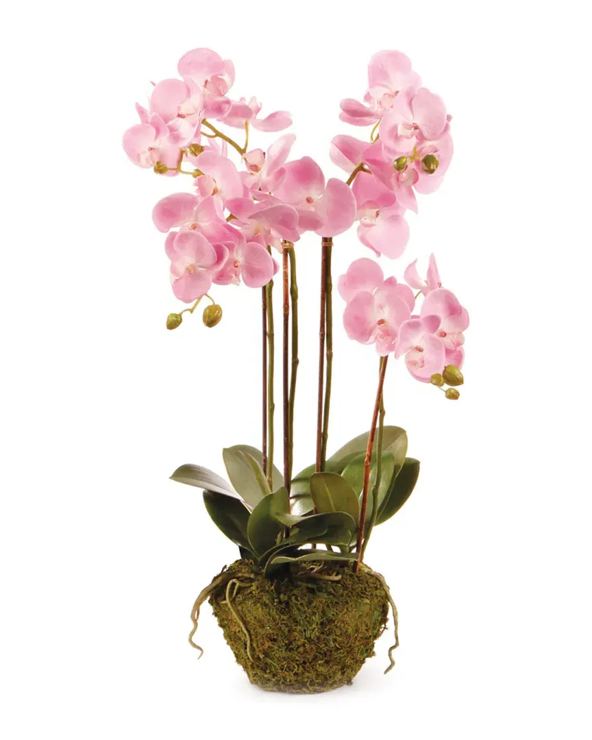 CC 30in Phalaenopsis Drop In - Pink image