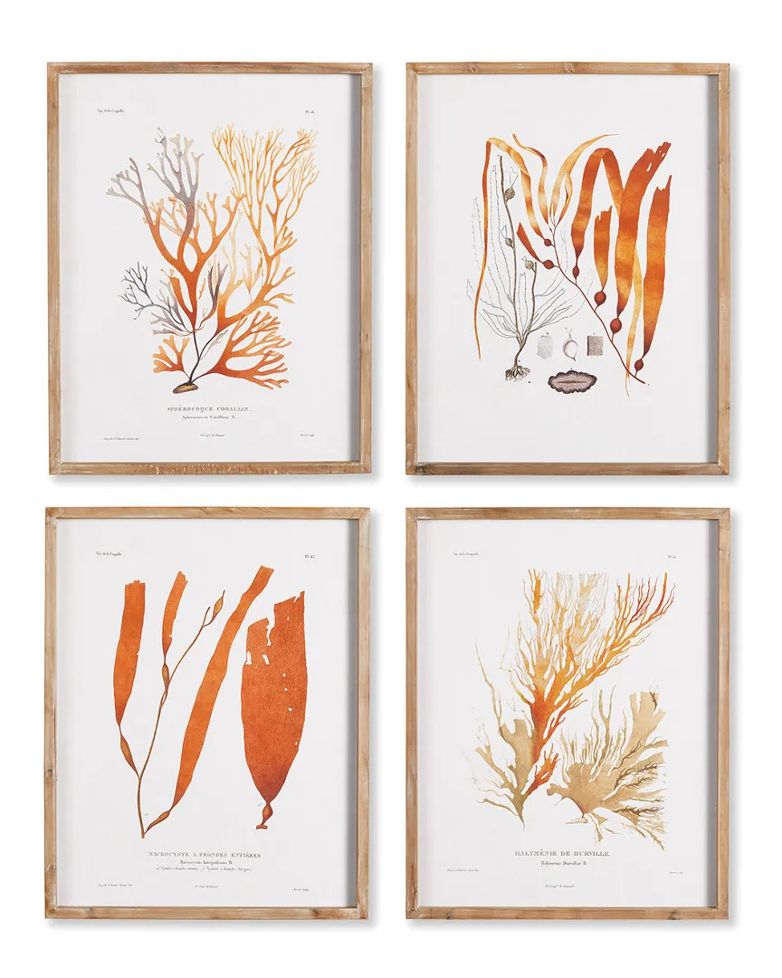 Coral Reef Study Set of 4 Wall Art - Burnt Amber, Fir Wood image