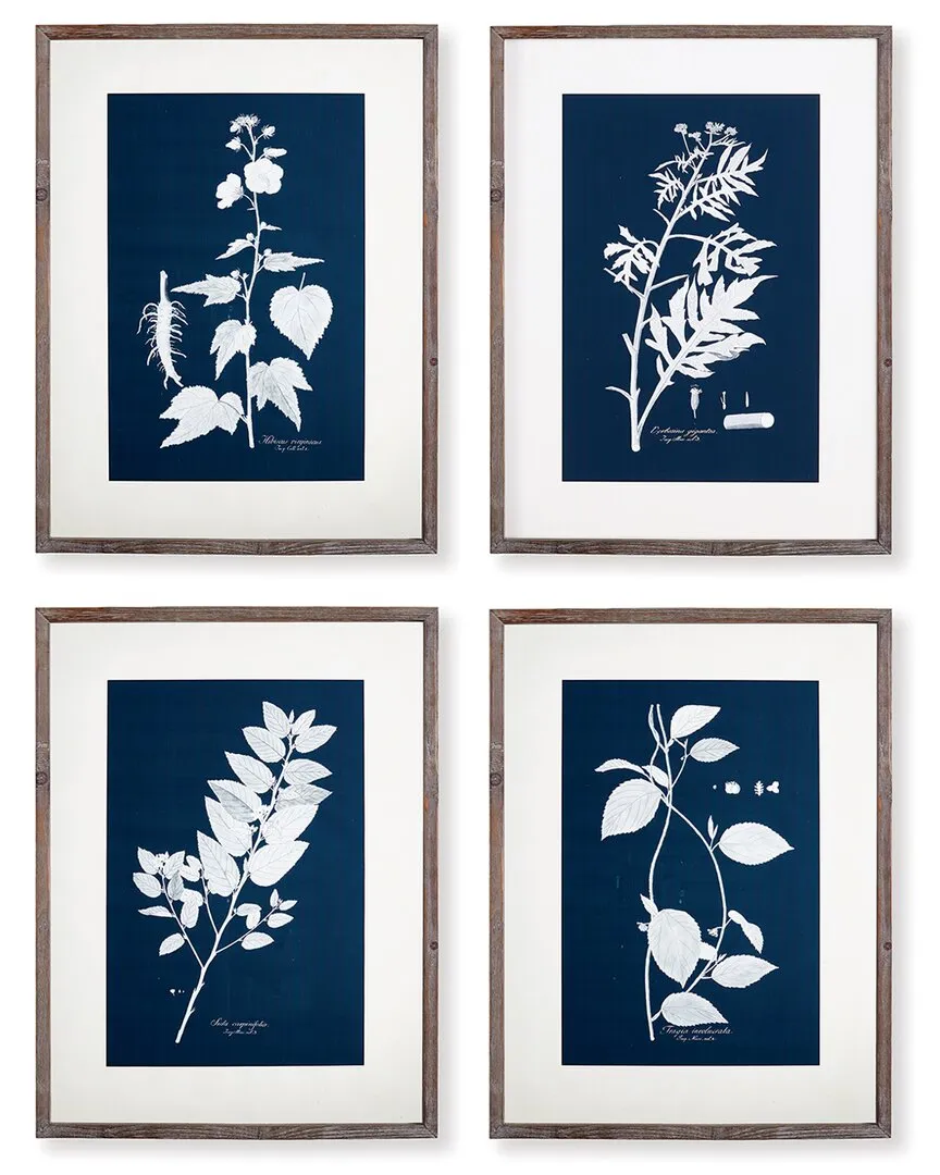 Cyano Botanical Leaf Study Set - Fir Wood image