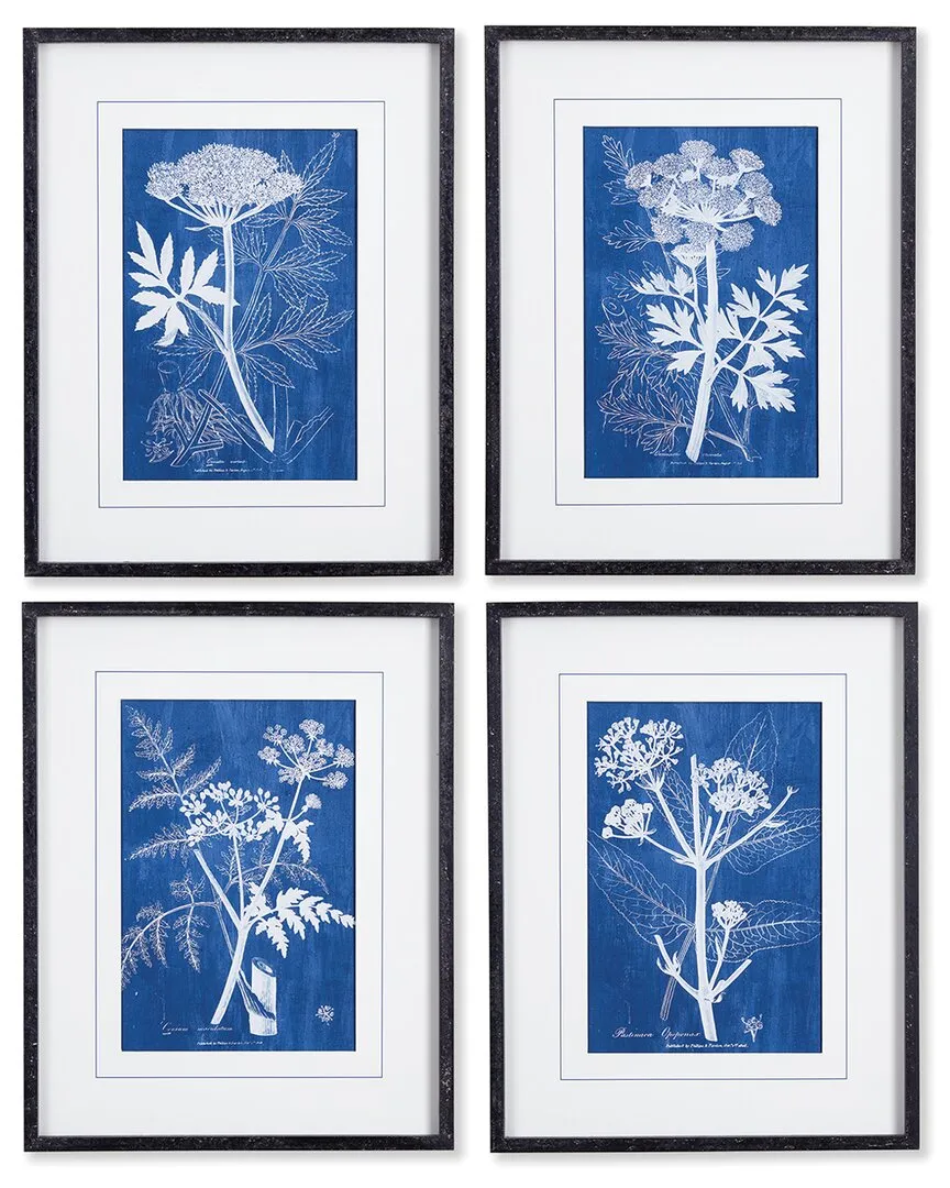 Cyanotype Queen Annes Lace Prints Set - Glass, MDF image