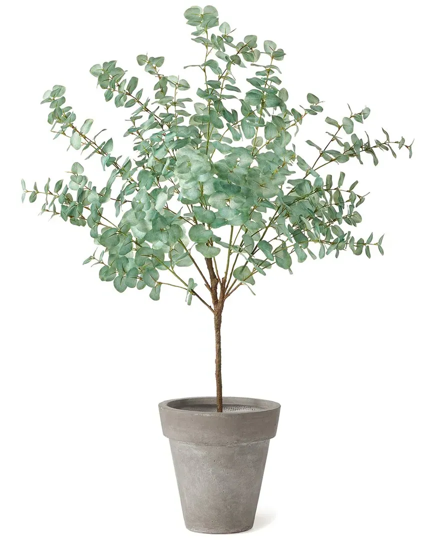 Eucalyptus Tree Drop-In 49in - Green image