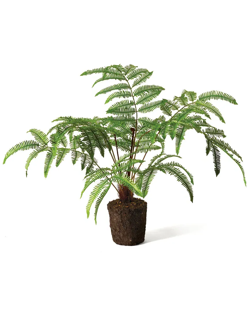 Forest Fern Drop-in Plant - Polyester image