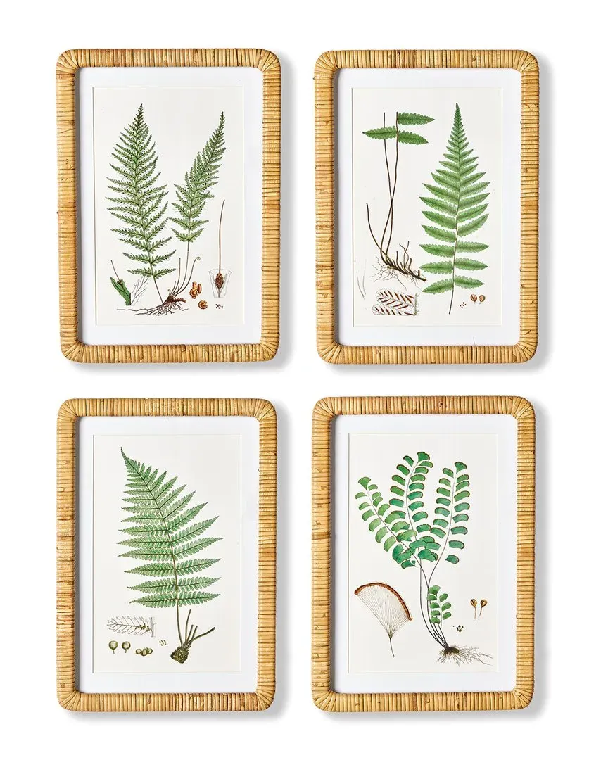 Forest Fern Prints Set of 4 - Green, Rattan